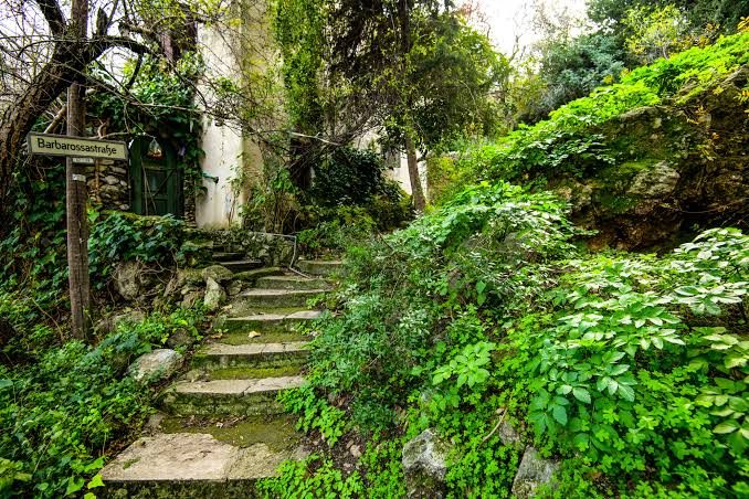 KARMI’DE DOĞA, MANZARA VE HUZUR